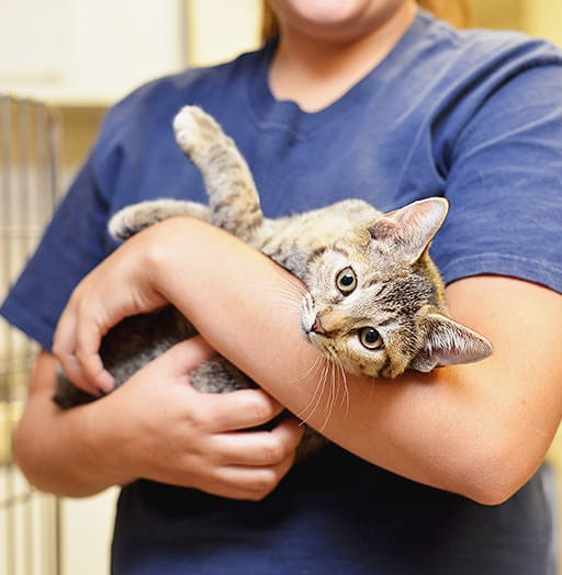 women with cat